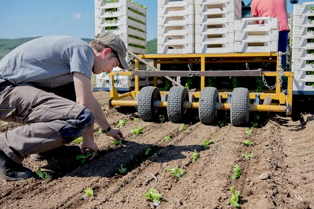 Als Produzent regestrieren