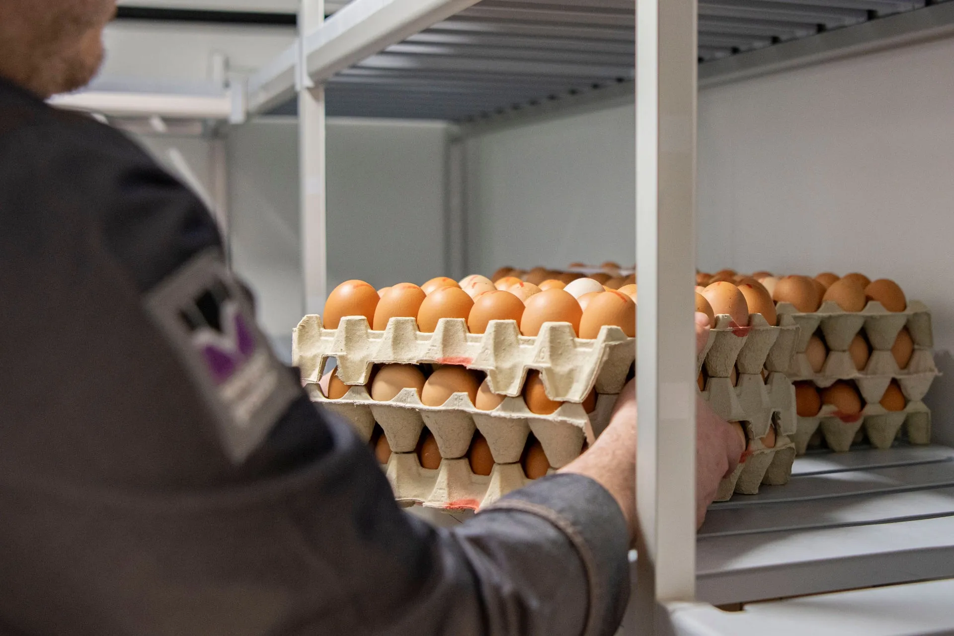 Regionale Lebensmittel für Großküchen bestellen